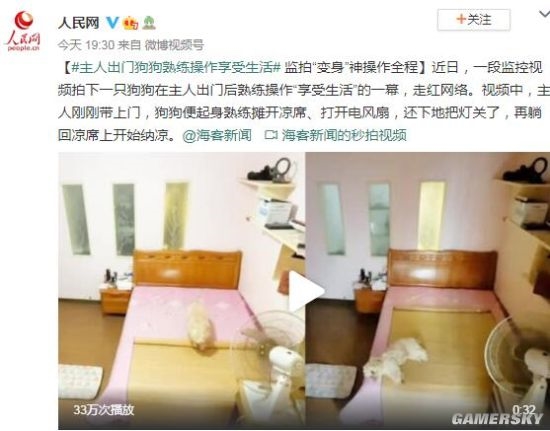 主人出门狗狗熟练操作享受生活 网友：不许成精