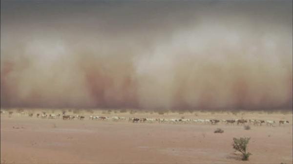 为何今年沙尘大风天气频发？专家解释