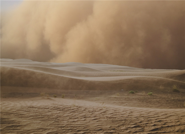 为何今年沙尘大风天气频发？蒙古国难辞其咎
