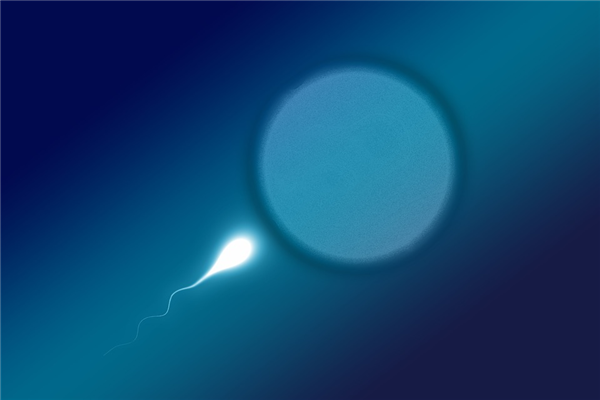 科学家发现精子新能力：原来靠发信号让女性更容易怀孕