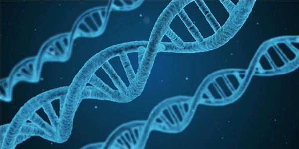 时隔20年！科学家完成史上最完整人类基因组测序