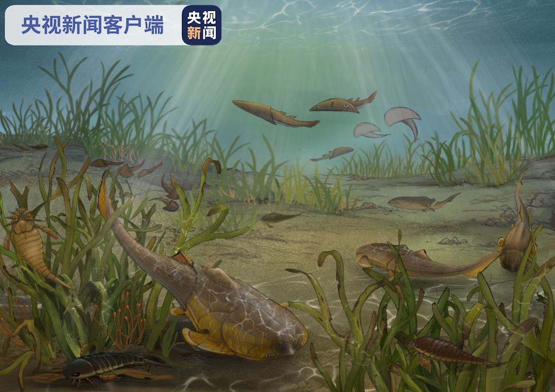 重庆鱼化石最新发现公布 将填补“从鱼到人”演化关键缺环-冯金伟博客园