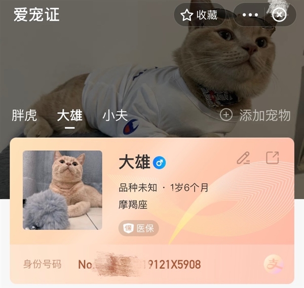 今天起 宠物也有电子“身份证”了！“豆豆”成全国最流行的宠物名字