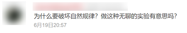 让公鼠怀孕的作者被狂喷！可网友们这次好像骂偏了