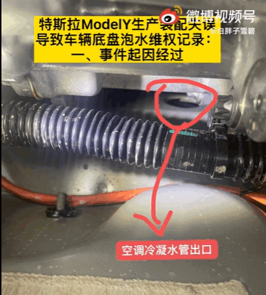 Model Y提车三月变泡水车！特斯拉：晒干后不影响使用拒退车