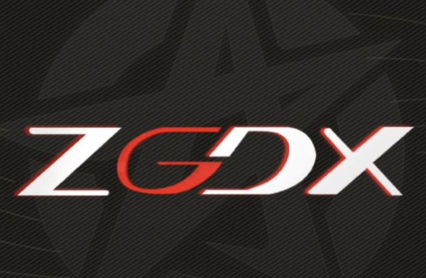 ZGDX电子竞技俱乐部