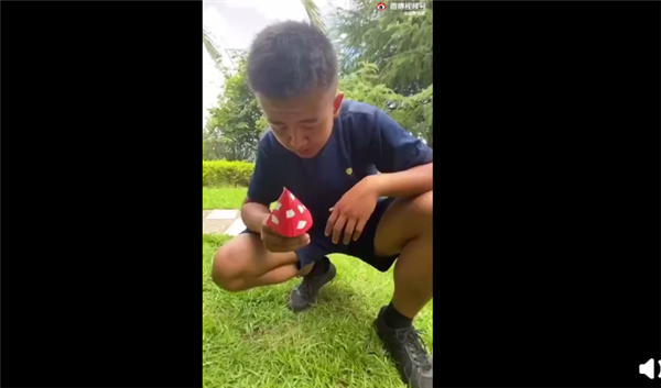 云南消防为防止你吃毒蘑菇有多拼：红伞伞白杆杆 吃完一起躺板板