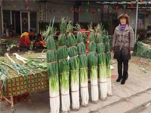 吃了长沙臭豆腐味雪糕后 我憋气找了山东大葱冰激凌和它掰头