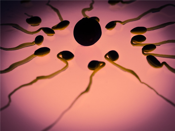 加拿大医生偷梁换柱用自己精子为患者人工授精：已生下至少17名孩子