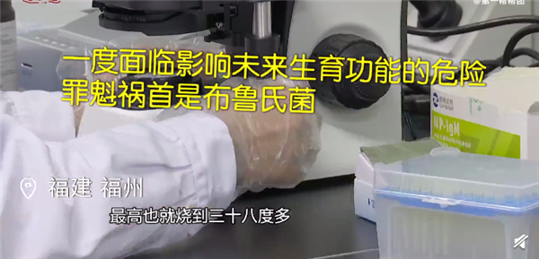 男孩喝鲜羊奶感染布鲁氏菌病：生鲜奶易引起各种疾病 须煮沸喝