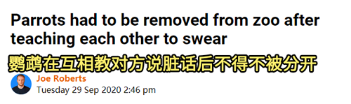 游客在动物园打架 结果教坏了动物？看看动物们都是怎么打架的