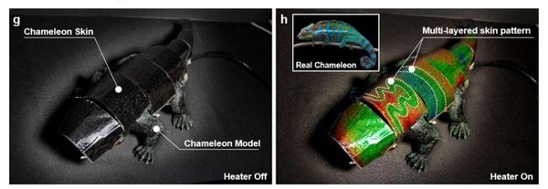 伪装高手来了！韩国科学家成功研发变色龙软体机器人
