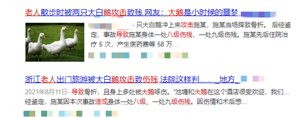 大鹅攻击老人致八级伤残！​鹅的”战斗力”有多强？看完再也不敢惹了