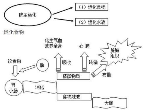 水合作用原理（图源来自网络）