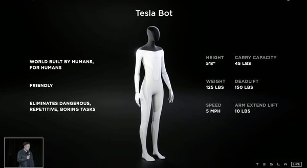 Tesla Bot