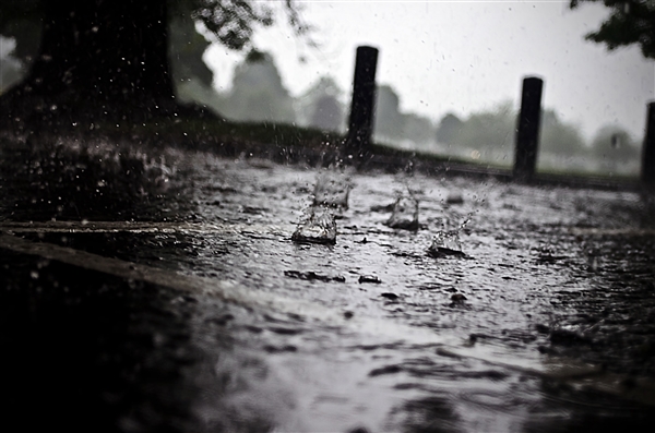 陕西勉县最大降雨量破历史极值：有街道水深齐腰、内涝成“河”