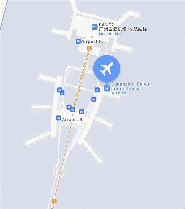 广东最大的蟑螂竟然是白云机场！网友：再也回不去了