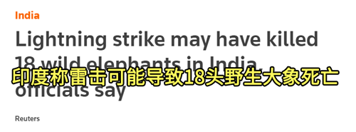 550只羊瞬间被劈死！闪电到底有多可怕？