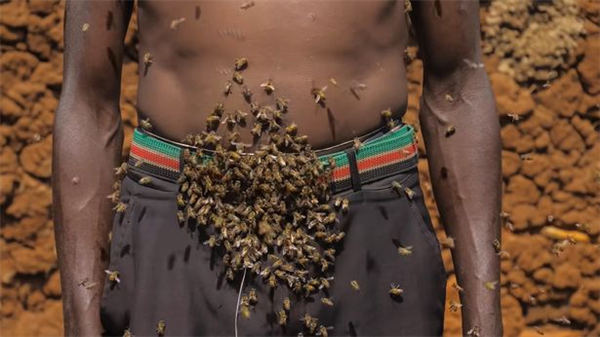 男子自诩“蜜蜂之王”！养蜂30年未被蛰过：赤身让蜜蜂爬满全身