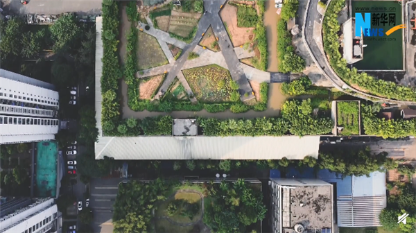 重庆33米高楼上有2万多平米农场！网友：现实版“开心农场”