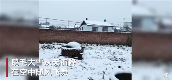 内蒙古呼伦贝尔突降大雪：积雪覆盖路面 树枝被积雪压折有车辆被砸