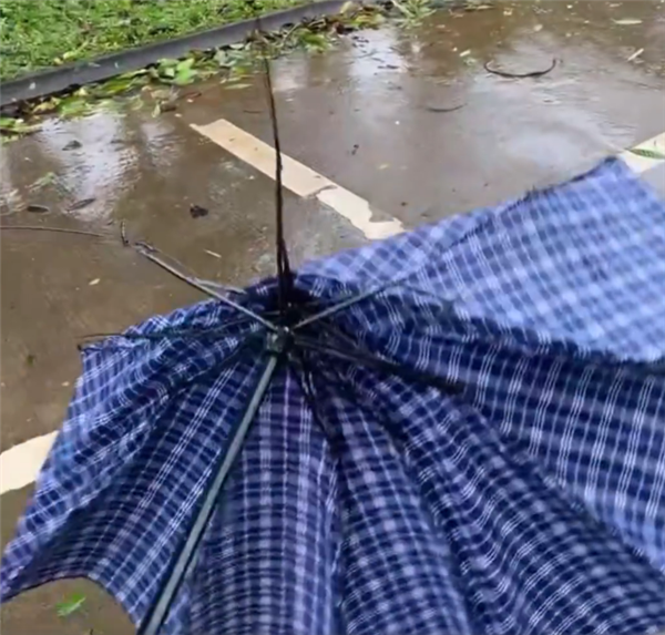 台风圆规登陆海南琼海 风有多大？网友实拍：伞被吹“骨折”