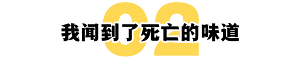 日产CEO戈恩世纪大逃亡揭秘：请背过核弹的大哥帮自己偷渡