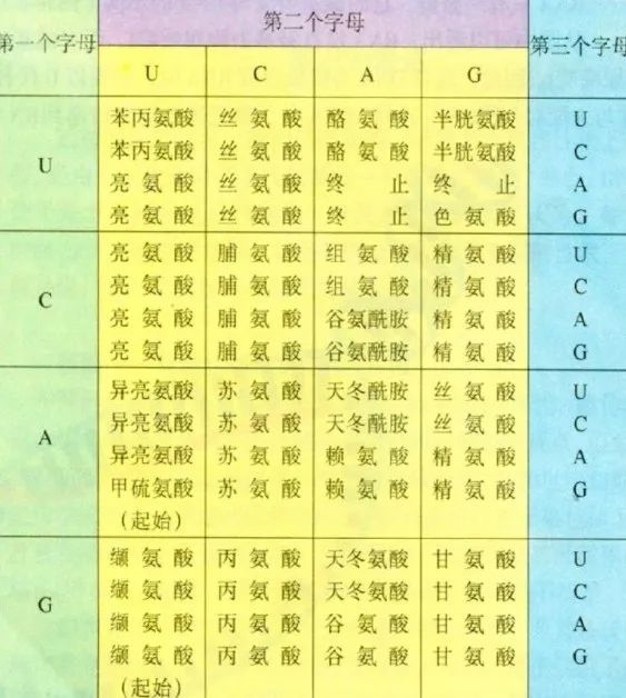 多到一块硬盘都存不下的小姐姐们 未来能直接刻进你的DNA?