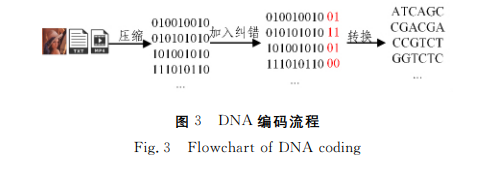 多到一块硬盘都存不下的小姐姐们 未来能直接刻进你的DNA?