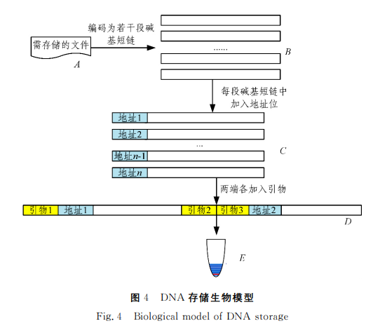 多到一块硬盘都存不下的小姐姐们 未来能直接刻进你的DNA?