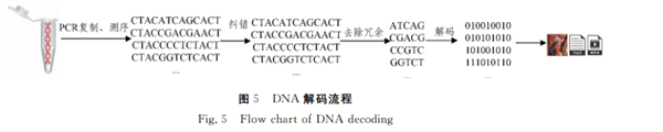 多到一块硬盘都存不下的小姐姐们 未来能直接刻进你的DNA?