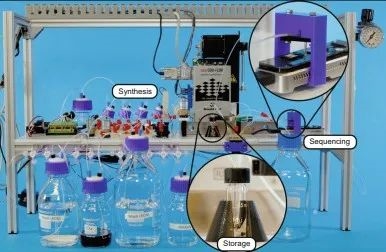 多到一块硬盘都存不下的小姐姐们 未来能直接刻进你的DNA?