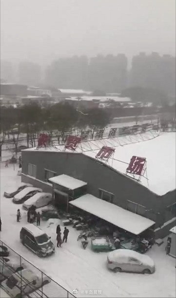 东北地区遭遇大暴雪 多地积雪深度已超35厘米：辽宁一农贸市场因强降雪坍塌