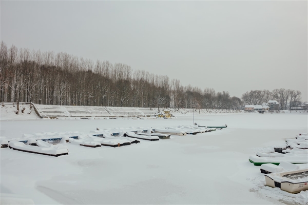 内蒙古通辽暴雪 棚顶坍塌压死家畜：当地暴雪红色预警生效中