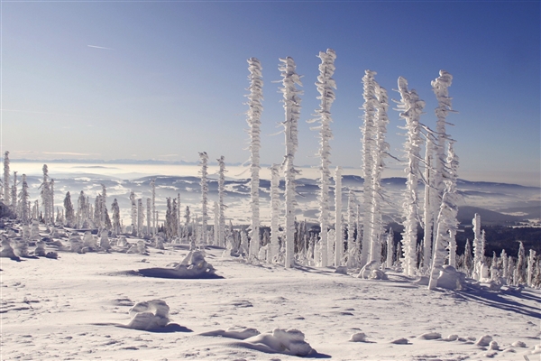 专家称东北多地大暴雪或引发雪灾：突破1951年有气象记录以来历史极值