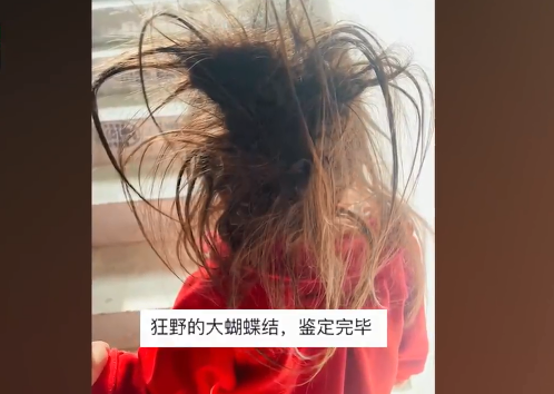 爸爸带娃隔离14天女儿头发炸毛 妈妈惊了：画面让网友笑喷