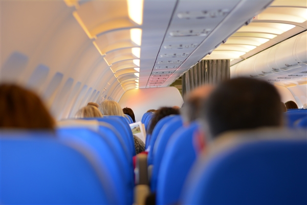 美国女子不停劝阻 在飞机上哺乳宠物猫：惹怒乘客及机组人员