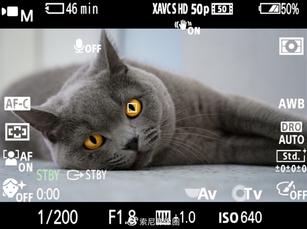 索尼Vlog微单ZV-E10更新2.0固件：支持视频动物眼部对焦
