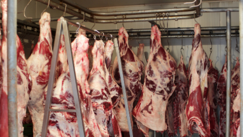 为什么死后的动物会尸僵 超市的肉不会？感谢美国开国元勋