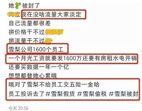 雪梨被曝不给员工交社保：网红雪梨林珊珊社交账号被封 短视频账号也自己可见