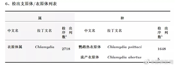 女子疑因宠物店吸猫感染鹦鹉热：出现高烧、胸闷