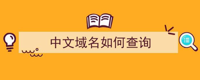 中文域名如何查询（中文域名如何查询）-冯金伟博客园