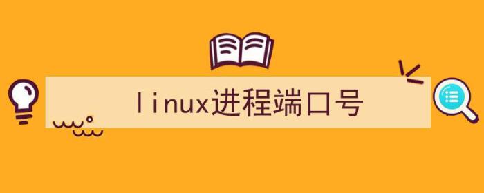 linux进程端口号查询（linux进程端口号）