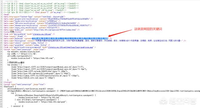 如何看网站关键词（如何看网站关键词排名）-冯金伟博客园