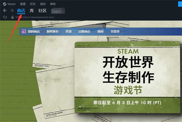 steam年度回顾在哪看