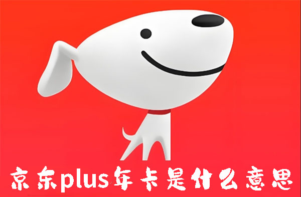 京东plus年卡是什么意思