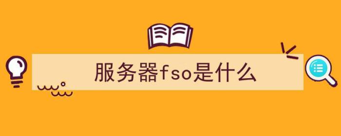 服务器fso是什么（FS服务器）