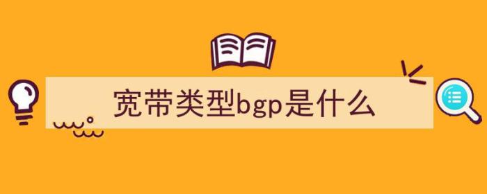 宽带类型bgp是什么（bgp带宽和普通带宽区别）