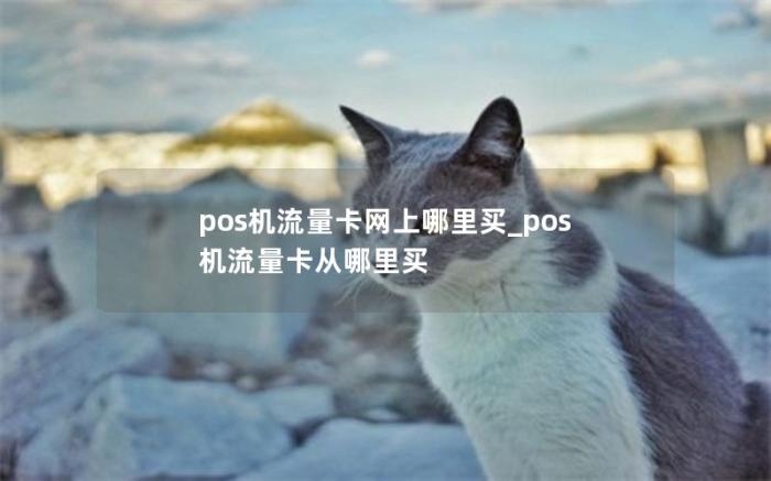 pos机流量卡网上哪里买_pos机流量卡从哪里买(Pos机流量卡哪里买)