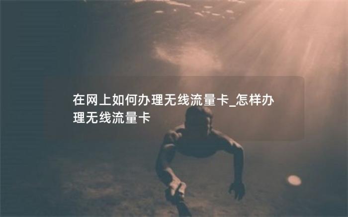 在网上如何办理无线流量卡_怎样办理无线流量卡(无线流量卡怎么办理)